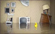 Coral Gables Restoration Expert, Coral Gables, FL 786-364-3658 Coral Gables Restoration Expert, Coral Gables, FL 786-364-3658 - 2-sidebar