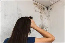 Coral Gables Restoration Expert, Coral Gables, FL 786-364-3658 Coral Gables Restoration Expert, Coral Gables, FL 786-364-3658 - 3-sidebar