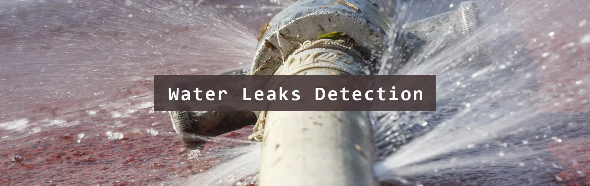 #bslide2 logo-image - banner-2